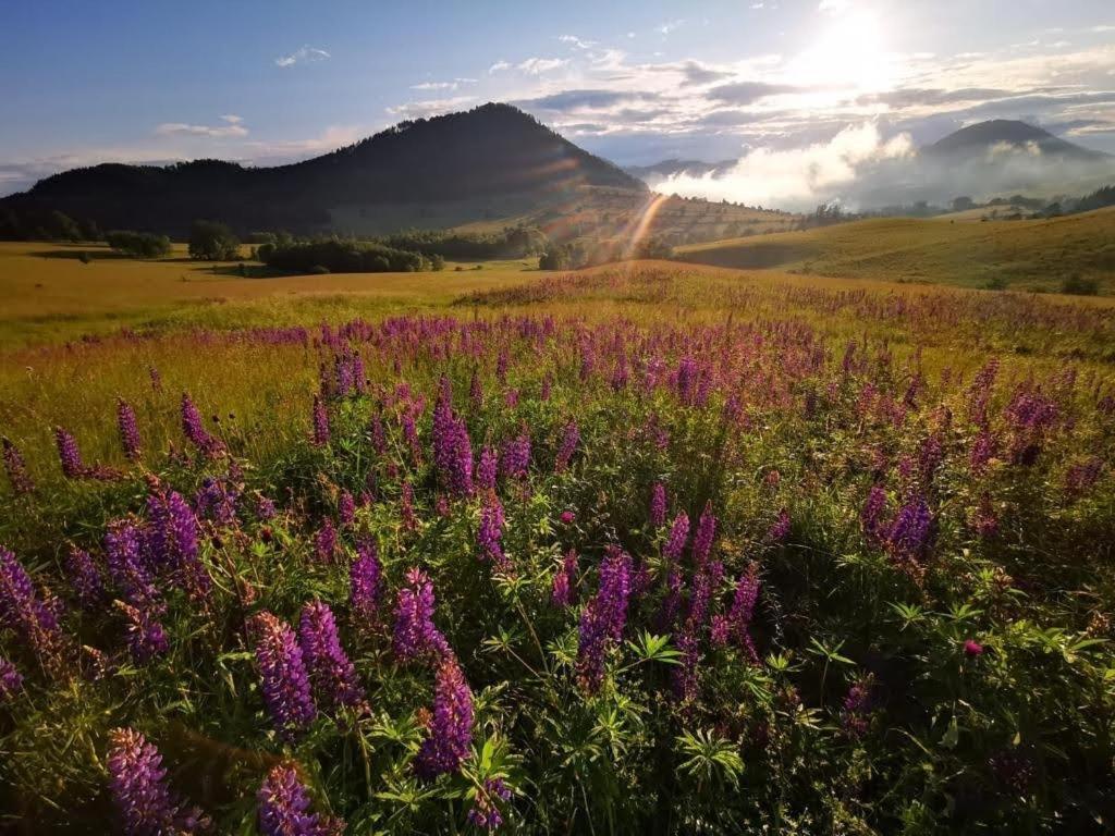 3 Peaks Sokolowsko